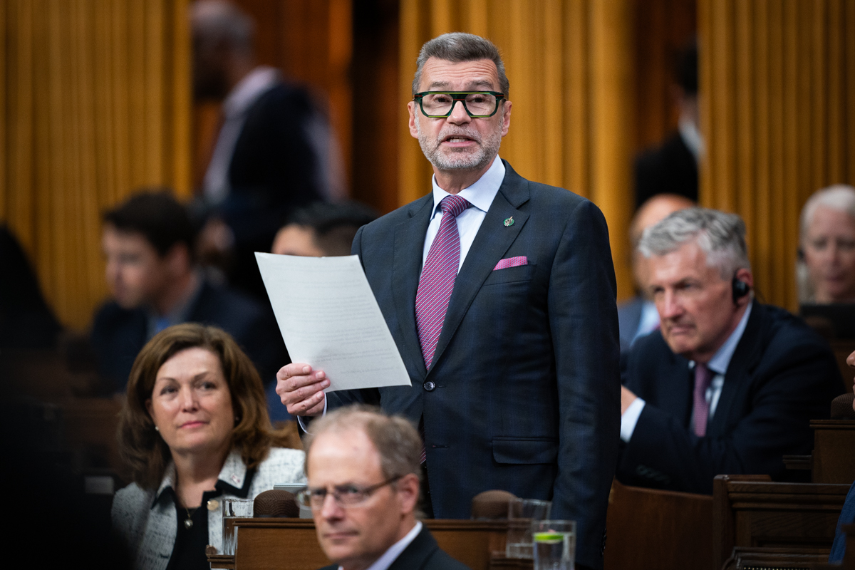 Statements by Members – Wednesday November 5 2025